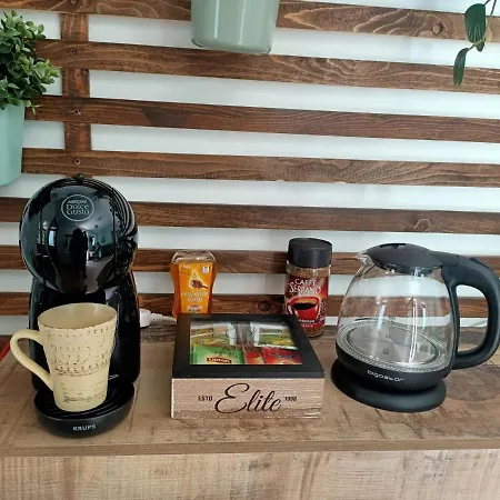 Il Cervo Reale Di Venaria 维纳利亚瑞勒