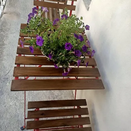 Il Cervo Reale Di Venaria 3*